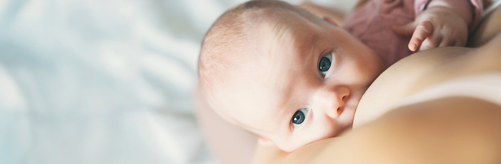 Baby. das gestillt wird