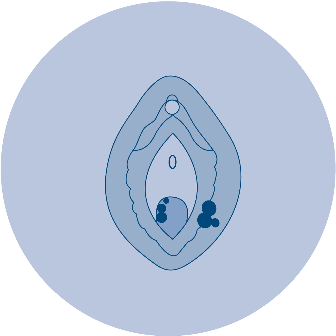 Vulva- und Vaginalveränderungen