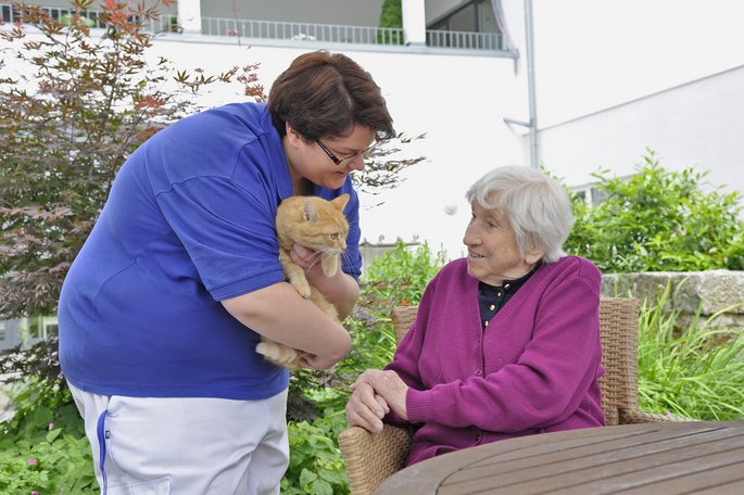Tiertherapie
